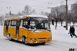 На Житомирщині загинув пенсіонер, випавши з маршрутки