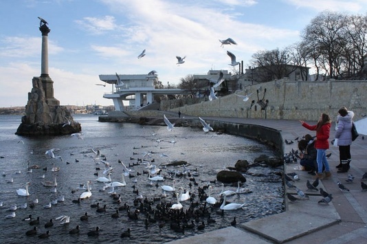 21% севастопольської молоді планує залишити територію окупованого Криму