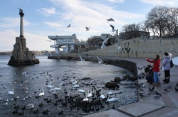 21% севастопольської молоді планує залишити територію окупованого Криму