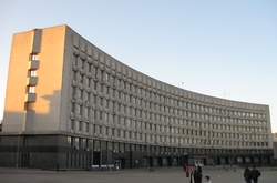 Сумська міськрада намагалась закупити через Prozorro мавпу-капуцина