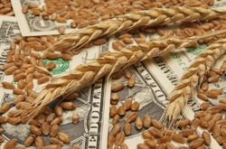 Вже при новій владі з Державної продовольчої корпорації вимили 300 мільйонів