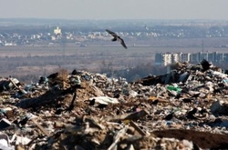 Сміттєвий колапс: на сміттєзвалищі під Львовом є загроза нового зсуву