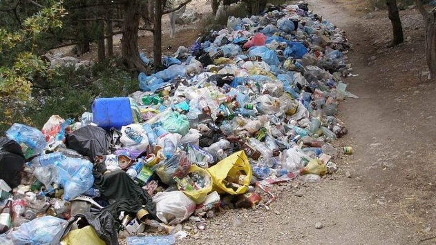 У Львові пообіцяли вивезти сміття протягом тижня