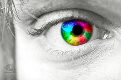 Как выглядит мир глазами дальтоника