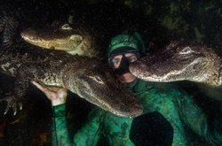 Таких селфи вы еще не видели: невероятные фотографии трех аллигаторов с человеком