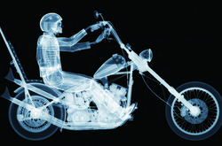 Глубина красоты. Фантастические рентгеновские фотографии британского мастера