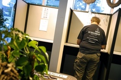 В Нідерландах планують ручний підрахунок голосів на виборах до парламенту через кібератаки