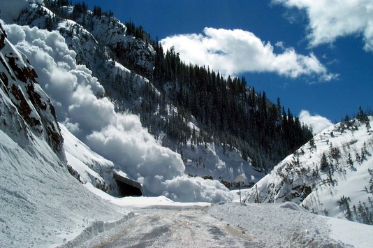 На Закарпатті перекриті дороги: з гір зійшло шість лавин 