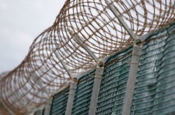 Латвія на кордоні з РФ вже побудувала 23 кілометри огорожі з колючим дротом