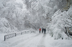 Мокрий сніг та невеликий дощ: на сьогодні в Україні прогнозують похолодання