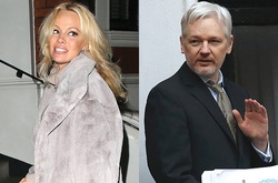 Памела Андерсон встречается с Джулианом Ассанжем