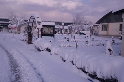 Афганістан