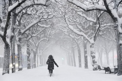 У вівторок в Україні посиляться мороз і снігопад