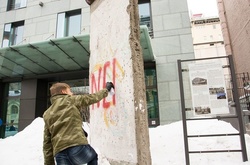 Депутат з БПП вимагає виключити колегу по фракції із делегації в ПАРЄ за вандалізм