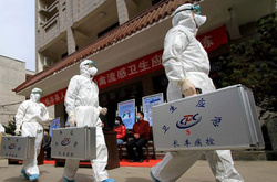 У Пекіні чоловік заразився пташиним грипом: стан важкий