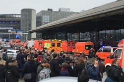 Українців немає серед постраждалих в аеропорту Гамбурга - МЗС