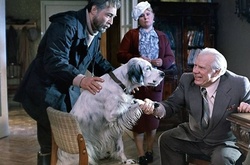 Любимцы детства: животные, которые вызывали умиление всего СCCР 