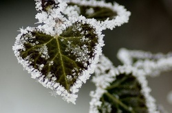 Прогноз погоди на День Святого Валентина