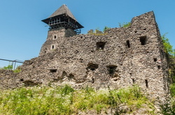 Невицький замок