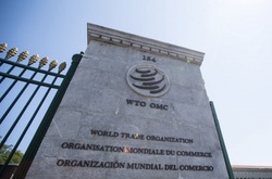 Україна введе нові мита для товарів з Росії у разі невиконання нею рішення СОТ