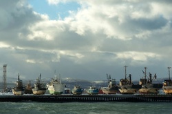 Японія висловила протест Росії через п’ять спірних островів