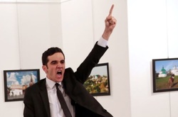 Вбивство посла Росії в Туреччині