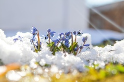 Стрітення в Україну прийде із значним потеплінням