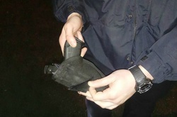 У Києві п'яний водій накинувся на поліцейських і відібрав пістолет