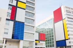 Фасад мэрии в Гааге раскрасили в духе картин Пита Мондриана