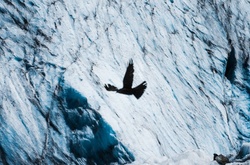 Суровая красота Монблана в объективе Esteban Wautier 