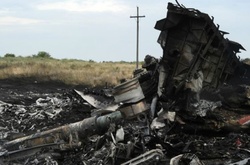 Нідерланди чекають від України нових пошукових робіт на місці падіння MH17