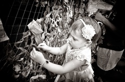 Миттєвості, які захоплюють дух. Підсумки конкурсу української військової фотографії