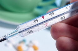 Захворюваність на грип та ГРВІ в Києві знизилась на 7,2%