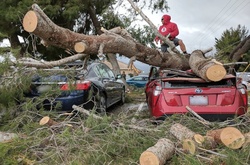 У Каліфорнії загинуло 4 людей внаслідок сильного шторму