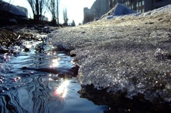 В Україні сьогодні відчутно потеплішає: місцями до +8