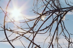 Найближчими днями в Україні збережеться тепло