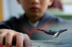 У Києві правоохоронці попередили самогубства підлітків в рамках квесту в соцмережах