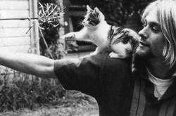 Курт Кобейн