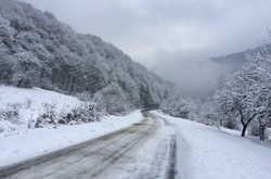 Рятувальники попередили про небезпеку лавин та сильні опади в Карпатах