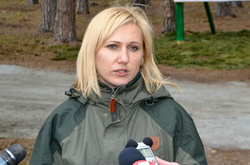 В Україні найближчим часом оновлять штат державних службовців лісової галузі