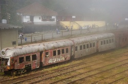 Свідок епохи. Вражаючі фото покинутої залізничної станції в джунглях Бразилії