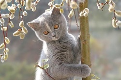 П’ятниця в Україну прийде із значним потеплінням