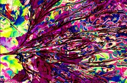  Сухой мартини, увеличение X1000. 