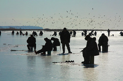 На Одещині під час риболовлі втопились троє чоловіків