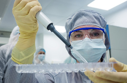 Всесвітня організація охорони здоров'я склала список найбільш небезпечних бактерій у світі