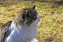 Холодне море та лагідне сонце: фоторепортаж з весняної Одеси