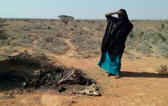 У Сомалі за дві доби від голоду померло 110 людей 
