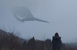 «Синій кит»: до «груп смерті» вступили 35 тисяч українських підлітків – поліція