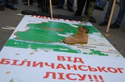 «Біличанський ліс» повернуто державі