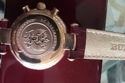 В Дніпрі у директора держпідприємства виявили «золоту» раковину та годинник від Путіна